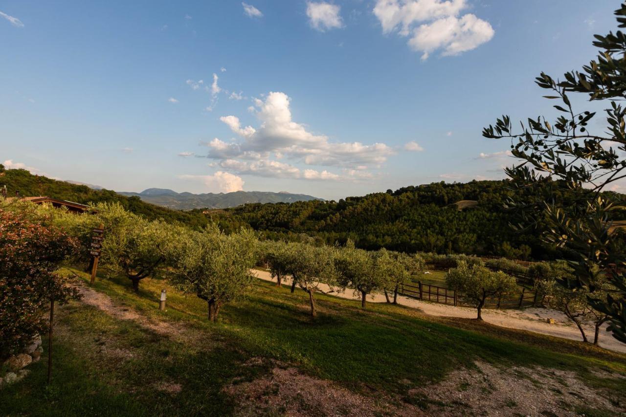 Willa Agriturismo Agrileisuretime Spoleto Zewnętrze zdjęcie