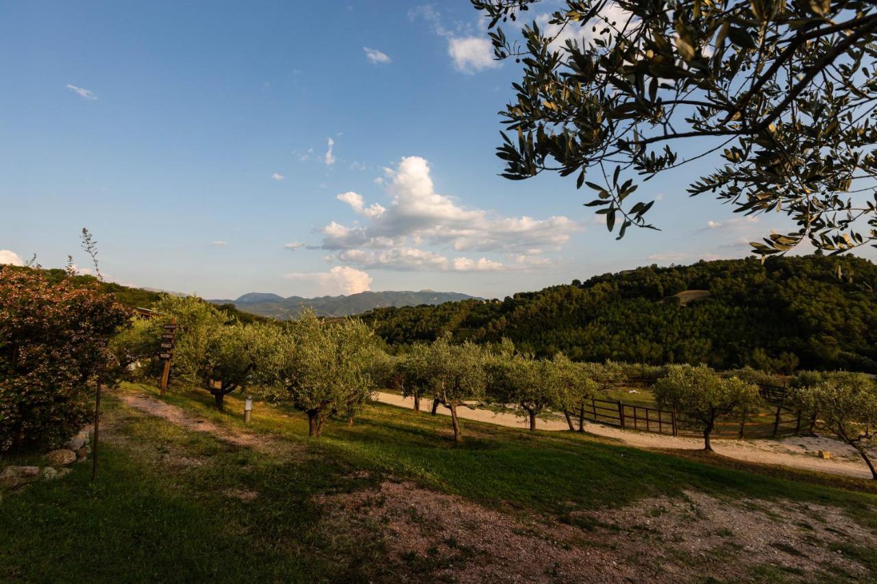 Willa Agriturismo Agrileisuretime Spoleto Zewnętrze zdjęcie