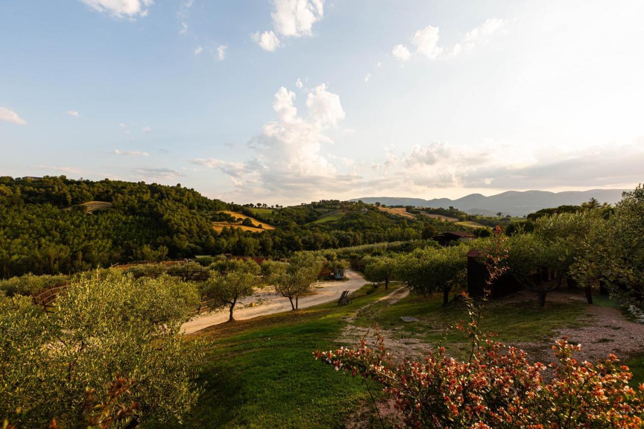 Willa Agriturismo Agrileisuretime Spoleto Zewnętrze zdjęcie