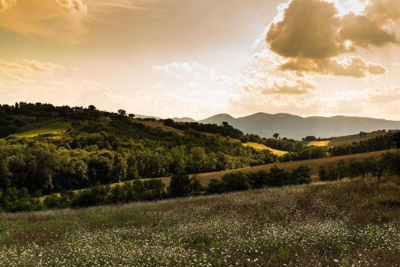 Willa Agriturismo Agrileisuretime Spoleto Zewnętrze zdjęcie