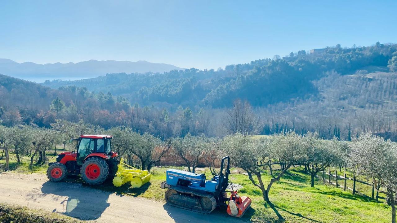 Willa Agriturismo Agrileisuretime Spoleto Zewnętrze zdjęcie